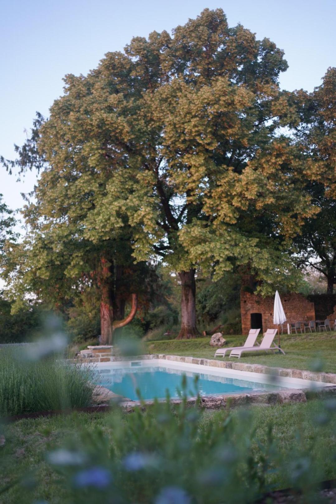 Maison Lou Piade Sarlat-la-Canéda Exteriör bild